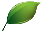 Environmental Impact of Fire Protection