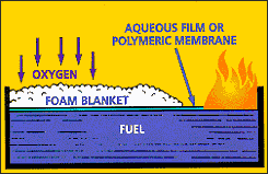 Foam