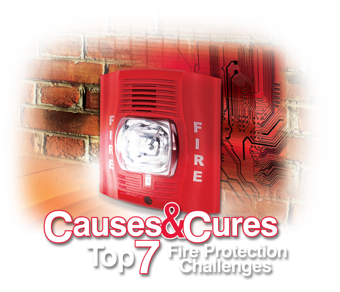 Causes and Cures Logo Causes and Cures Logo
